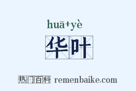 华叶是什么意思的图片